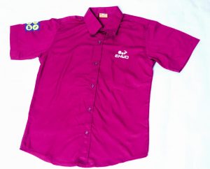 Domestic Uniforms and Wears by Smart Uniforms